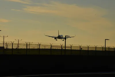 DSC_5724 (Large).JPG